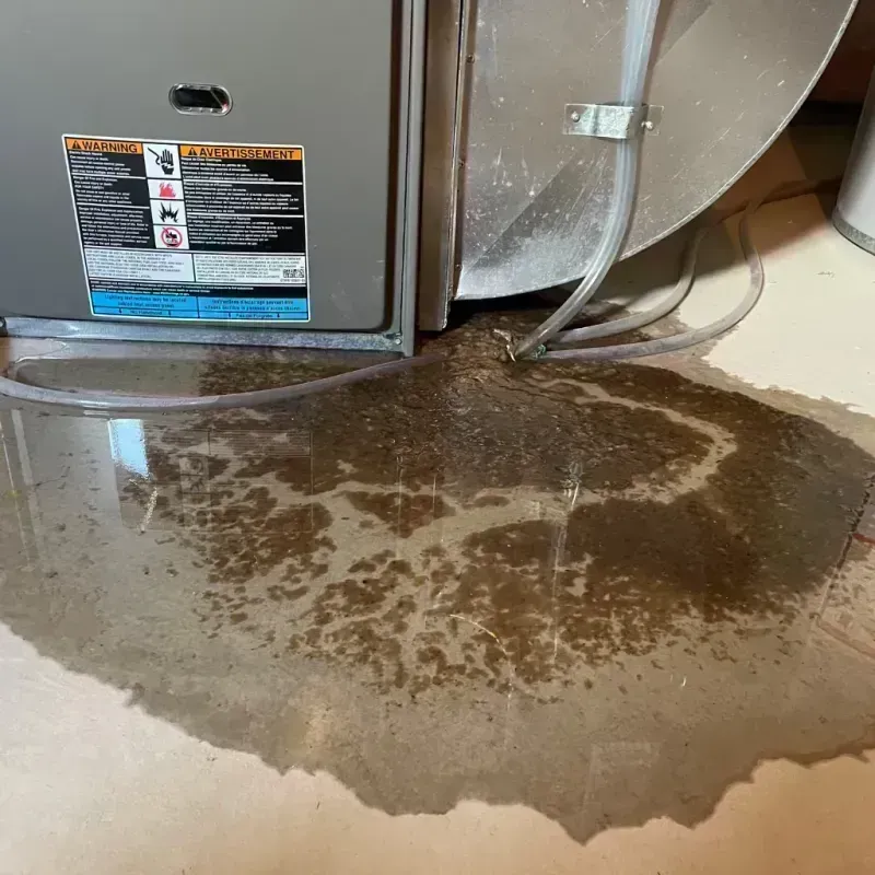 Appliance Leak Cleanup in Dumas, AR